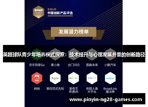 英超球队青少年培养模式探索：技术提升与心理发展并重的创新路径