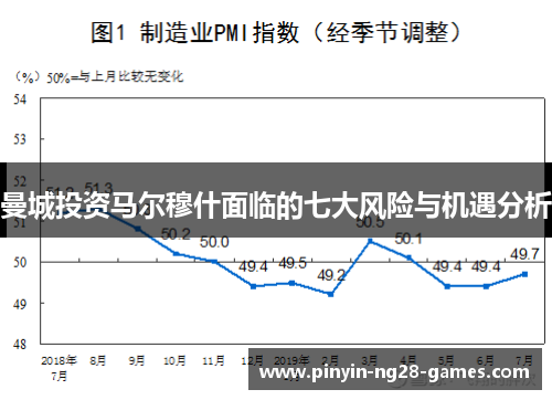 曼城投资马尔穆什面临的七大风险与机遇分析