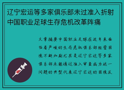 辽宁宏运等多家俱乐部未过准入折射中国职业足球生存危机改革阵痛